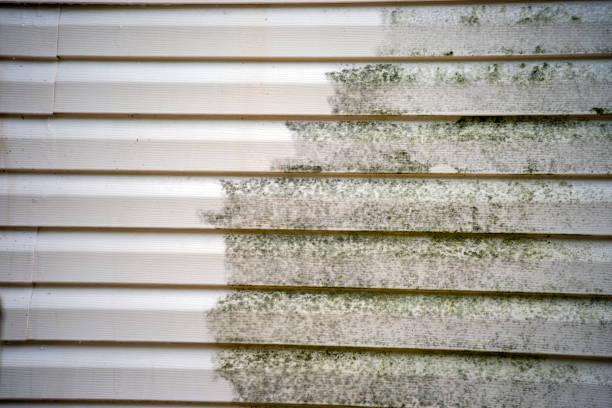 Trusted Edenton, NC Siding Installation & Repair Experts