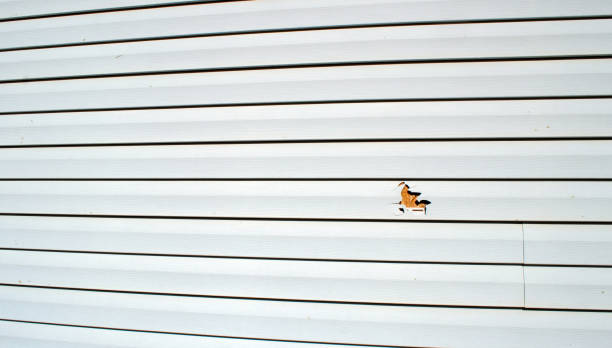Best Stucco Siding  in Edenton, NC